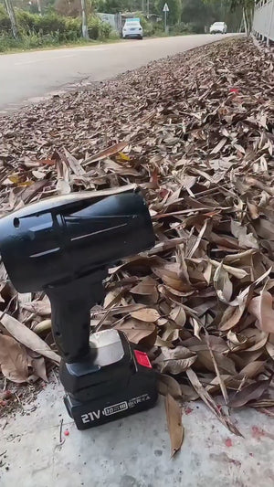 Cordless Violent Fan Ⓢ